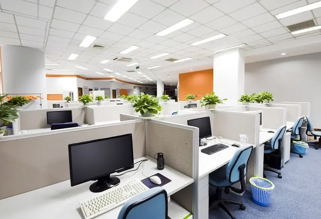 Rows of tidy office workstations with plants and natural light